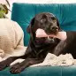 Beco Treat Bone Rosa BecoPets