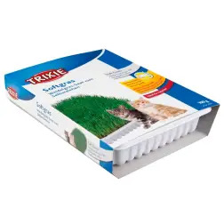 Erva Gateira Tenra C/ Tabuleiro - 100 Gr Trixie - 1050070037
