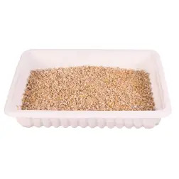 Erva Gateira Tenra C/ Tabuleiro - 100 Gr Trixie #1 - 1050070037