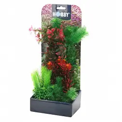 Plantas Set 3 kit 6 Plantas Hobby - 1040350322