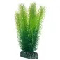 Plantas Set 3 kit 6 Plantas Hobby Plantas Set 3 kit 6 Plantas Hobby