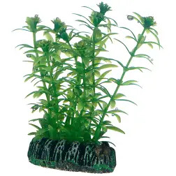 Plantas Set 3 kit 6 Plantas Hobby #3 - 1040350322