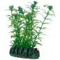 Plantas Set 3 kit 6 Plantas Hobby Plantas Set 3 kit 6 Plantas Hobby