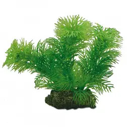 Plantas Set 3 kit 6 Plantas Hobby #4 - 1040350322