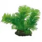 Plantas Set 3 kit 6 Plantas Hobby Plantas Set 3 kit 6 Plantas Hobby