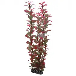 Plantas Set 3 kit 6 Plantas Hobby #5 - 1040350322