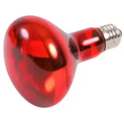 Reptiland Infrared Heat Spot-lamp, Red - 100w Trixie - 1040100180