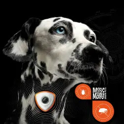 Soundshield - Repelente Ultrassonico Parasitas la Max&Molly - 1050070029
