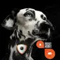 Soundshield - Repelente Ultrassonico Parasitas la Max&Molly Soundshield - Repelente Ultrassonico Parasitas la Max&Molly