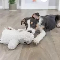 Pinguim "be Eco" Em Pelucia - 24 Cm Trixie - 1040061066