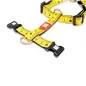 Peitoral "Ruler"