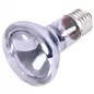 Reptil. Neodymium Basking Spot-lamp - 35w Trixie Reptil. Neodymium Basking Spot-lamp - 35w Trixie