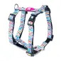 Max & Molly - Peitoral "magic Zebra" tam. Xs Max&Molly Max & Molly - Peitoral "magic Zebra" tam. Xs Max&Molly
