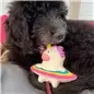 Max & Molly - Brinquedo C/ Pelucia "magic Mikey" Max&Molly Max & Molly - Brinquedo C/ Pelucia "magic Mikey" Max&Molly