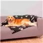 Manta cobertura Sofa "barney" 150x100cm preto C/pa Trixie Manta cobertura Sofa "barney" 150x100cm preto C/pa Trixie
