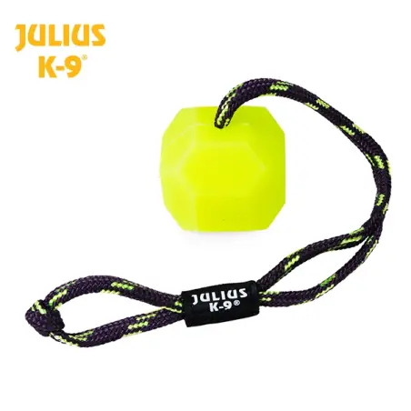 Bola "julius K-9" Fluorescente C/ Corda amarela/d Julius-K9 - 1040061230