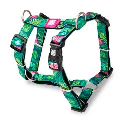 Peitoral "Tropical" - XS - 1040180553
