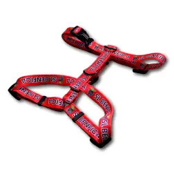 Peitoral Oficial Slb s-m 22-40 Cm Clubes - 1040240546