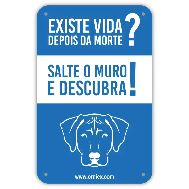 Placa Pvc "ha Vida Depois De Saltar O Muro?" EX