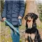 Max & Molly - Trela Multi "retro Blue" tam. M Max&Molly Max & Molly - Trela Multi "retro Blue" tam. M Max&Molly