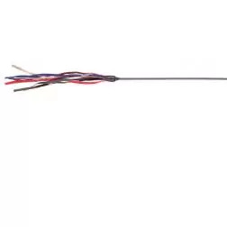 Bastao C/ Tiras Em Pele - 65 Cm Trixie - 1040060786