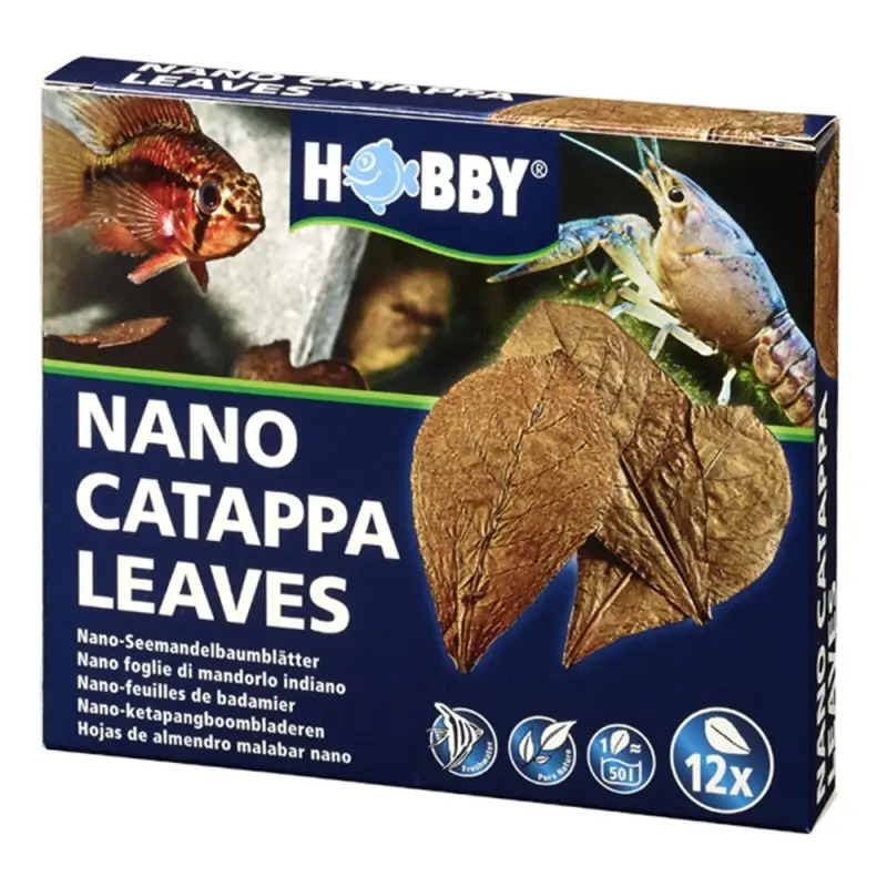 Folhas De Catappa nano 12 Unid. Hobby Folhas De Catappa nano 12 Unid. Hobby