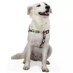 Peitoral Joe Cool Snoopy - XS - Circunf. Barriga: 27-38cm - 1040180751