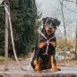 Peitoral "Retro Pink" Max&Molly