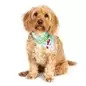 Max & Molly - Bandana "unicorn" - S Max&Molly Max & Molly - Bandana "unicorn" - S Max&Molly
