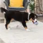 Junior - Bola Em Corda De Algodao - Ø6 Cm Trixie