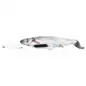 Peixe Em Tecido C/ Movimento usb E Catnip 30 Cm Trixie