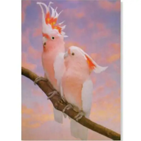 Poster Catatuas Major Mitchell Van Keulen - 1040320042