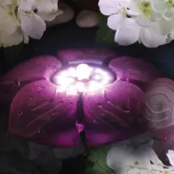 Flower Led Basic 3,5w Sicce - 1040350311