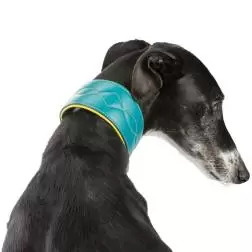Coleira em Pele "Active Comfort" para Galgo Trixie - XS - 21-26cm/40mm - 1040080916