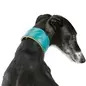 Coleira em Pele "Active Comfort" para Galgo Trixie