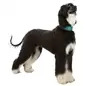 Coleira em Pele "Active Comfort" para Galgo Trixie
