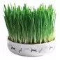 Gamela Ceramica Com Erva De Gato 15 Cm / 50 Gr Trixie