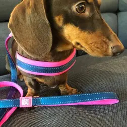 Max & Molly - Trela Multi "matrix Pink" tam. M Max&Molly #1 - 1040220719