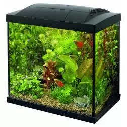Aquario Superfish Start 50 Lt preto 48x28x42 Cm Superfish - 1040030118