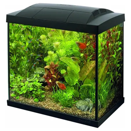 Aquario Superfish Start 50 Lt preto 48x28x42 Cm Superfish - 1040030118