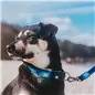 Trela "Matrix Sky Blue" Trela "Matrix Sky Blue"