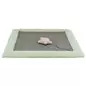 Junior Tapete De Arranhar cinza/menta 47x47 Cm Trixie