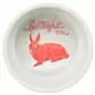 Gamela Em Ceramica "spotlight Comic" P/ Coelhos 250ml Trixie
