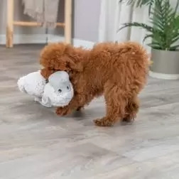 Macaco "BE ECO" Em Pelucia - 40cm Trixie #1 - 1040060563
