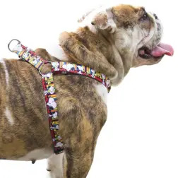 Peitoral Stripe Snoopy - XS - Circunf. Barriga: 27-38cm - 1040180626