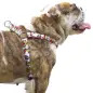 Peitoral Stripe Snoopy