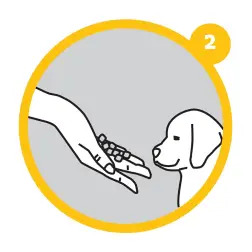 Bandeja Sanitaria "puppy Training" 60x40 Cm . Stefanplast - 1050200014