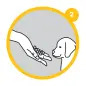 Bandeja Sanitaria "puppy Training" 60x40 Cm . Stefanplast