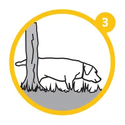 Bandeja Sanitaria "puppy Training" 60x40 Cm . Stefanplast #3 - 1050200014
