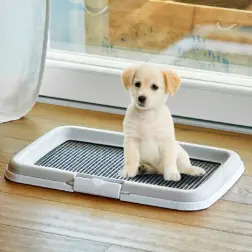 Bandeja Sanitaria "puppy Training" 60x40 Cm . Stefanplast #5 - 1050200014